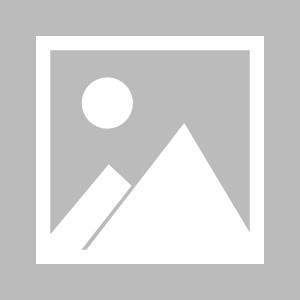 星空体育官网-【早报】“政治组”落幕：英美携手晋级！